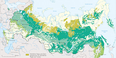 Karte: Waldzonen in Russland