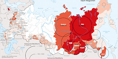 Karte: Russland: Waldbrände 2019 nach Regionen